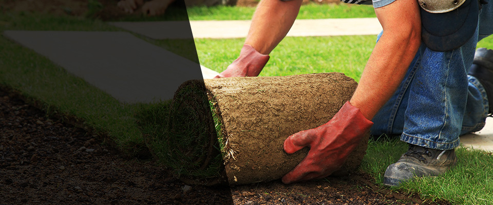 Farmville Landscapers